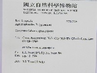 登錄號:F0017276藏品圖，第2張