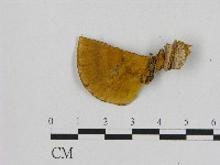 登錄號:F0017276藏品圖，第1張