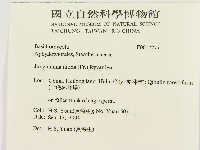 登錄號:F0017277藏品圖，第2張