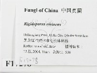 登錄號:F0017278藏品圖，第2張