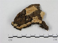 登錄號:F0017278藏品圖，第1張