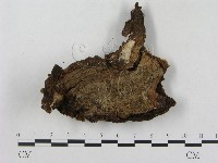 登錄號:F0017278藏品圖，第4張