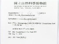 登錄號:F0017279藏品圖，第3張