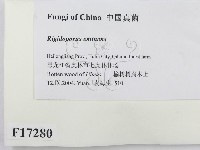 登錄號:F0017280藏品圖，第2張