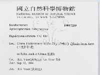 登錄號:F0017280藏品圖，第3張