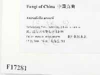登錄號:F0017281藏品圖，第2張