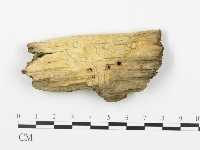 登錄號:F0017281藏品圖，第4張