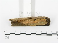 登錄號:F0017281藏品圖，第5張
