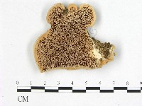 登錄號:F0017282藏品圖，第1張