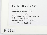 登錄號:F0017283藏品圖，第2張