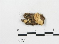 登錄號:F0017283藏品圖，第1張