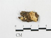 登錄號:F0017283藏品圖，第4張