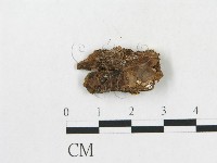 登錄號:F0017283藏品圖，第5張