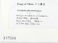 登錄號:F0017284藏品圖，第2張