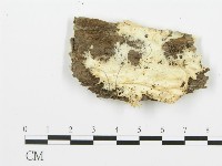 登錄號:F0017284藏品圖，第5張