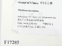 登錄號:F0017285藏品圖，第2張