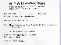 登錄號:F0017286藏品圖，第2張