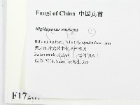 登錄號:F0017287藏品圖，第2張