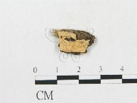 登錄號:F0017287藏品圖，第1張