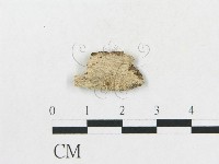 登錄號:F0017287藏品圖，第4張