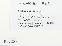 登錄號:F0017288藏品圖，第2張