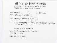 登錄號:F0017288藏品圖，第3張