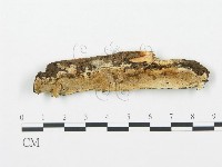 登錄號:F0017288藏品圖，第1張