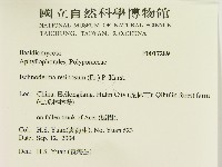 登錄號:F0017289藏品圖，第2張