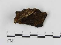 登錄號:F0017289藏品圖，第1張