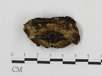 登錄號:F0017289藏品圖，第3張