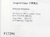 登錄號:F0017290藏品圖，第2張