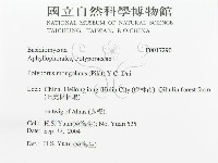 登錄號:F0017290藏品圖，第3張