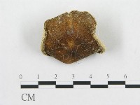 登錄號:F0017290藏品圖，第1張