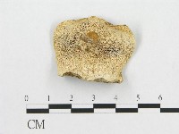 登錄號:F0017290藏品圖，第4張