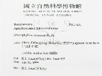 裂褶菌藏品圖，第3張