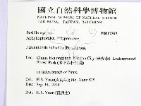 登錄號:F0017293藏品圖，第2張