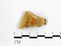登錄號:F0017293藏品圖，第1張