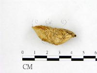 登錄號:F0017293藏品圖，第3張