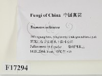 登錄號:F0017294藏品圖，第2張