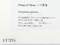 登錄號:F0017296藏品圖，第2張