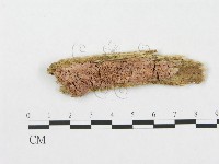 登錄號:F0017296藏品圖，第1張