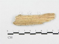 登錄號:F0017296藏品圖，第4張