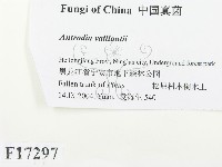 登錄號:F0017297藏品圖，第2張