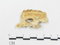 登錄號:F0017297藏品圖，第1張