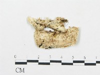 登錄號:F0017297藏品圖，第4張