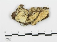 登錄號:F0017298藏品圖，第1張