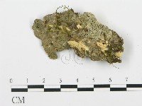 登錄號:F0017298藏品圖，第4張