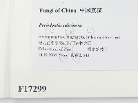 登錄號:F0017299藏品圖，第2張