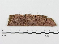 登錄號:F0017299藏品圖，第1張