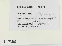 登錄號:F0017300藏品圖，第2張